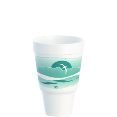CUP,32OZ,HORIZN,20/25